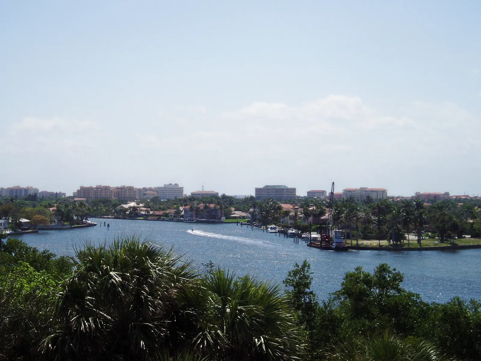 View from a treetop tower over sabal palm fronds to a wide blue stretch of the Intracoastal Waterway with a boat wake, waterfront houses and docks on the far bank, and a low row of downtown mid-rise buildings and a construction crane on the horizon under a hazy sky.