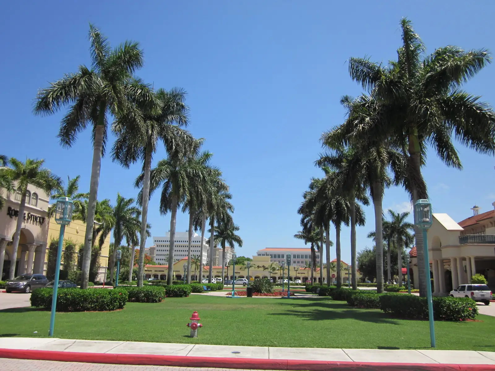 Rows of tall royal palms over a lawn median with low hedges, green lantern lamp posts, a red-painted curb and fire hydrant in the foreground, Mediterranean-style shop buildings at both sides and office buildings at the far end.